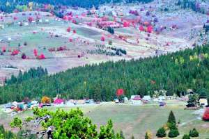 Kamena Gora - TO Zapadna Srbija