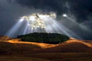 Zlatibor - Uroš Petrović