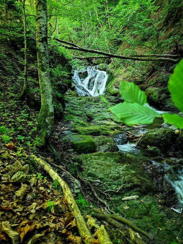GOLIJA - Vodopadi Izubre | osvežavajuća  tura kroz kanjon | Manastir Studenica | 3.7.