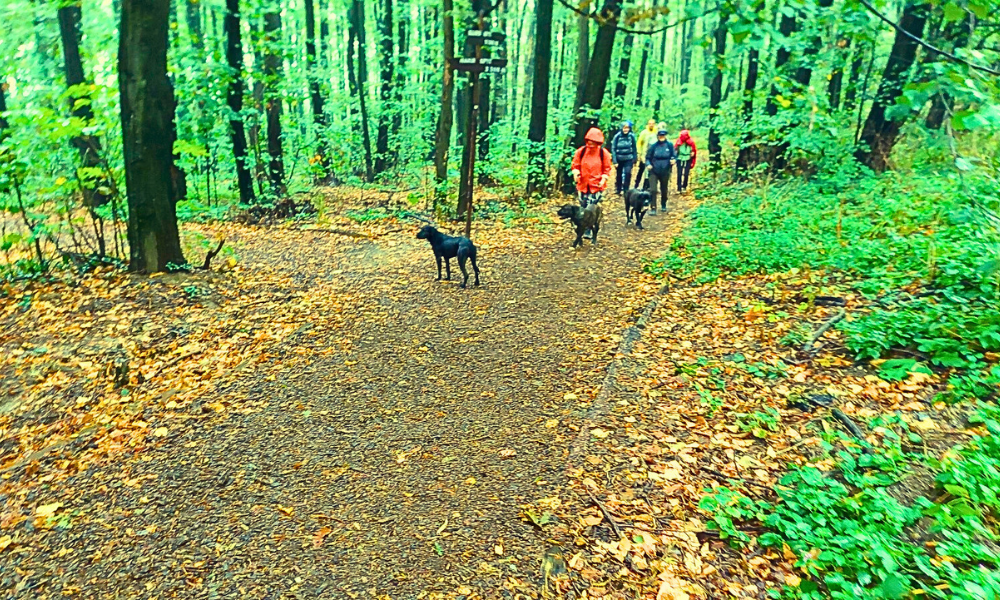 HIKE & WINE FRUŠKA GORA vol. 3