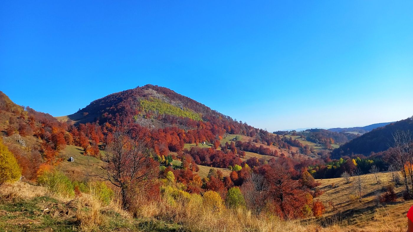 POVLEN u jesenjim bojama | 23.11.