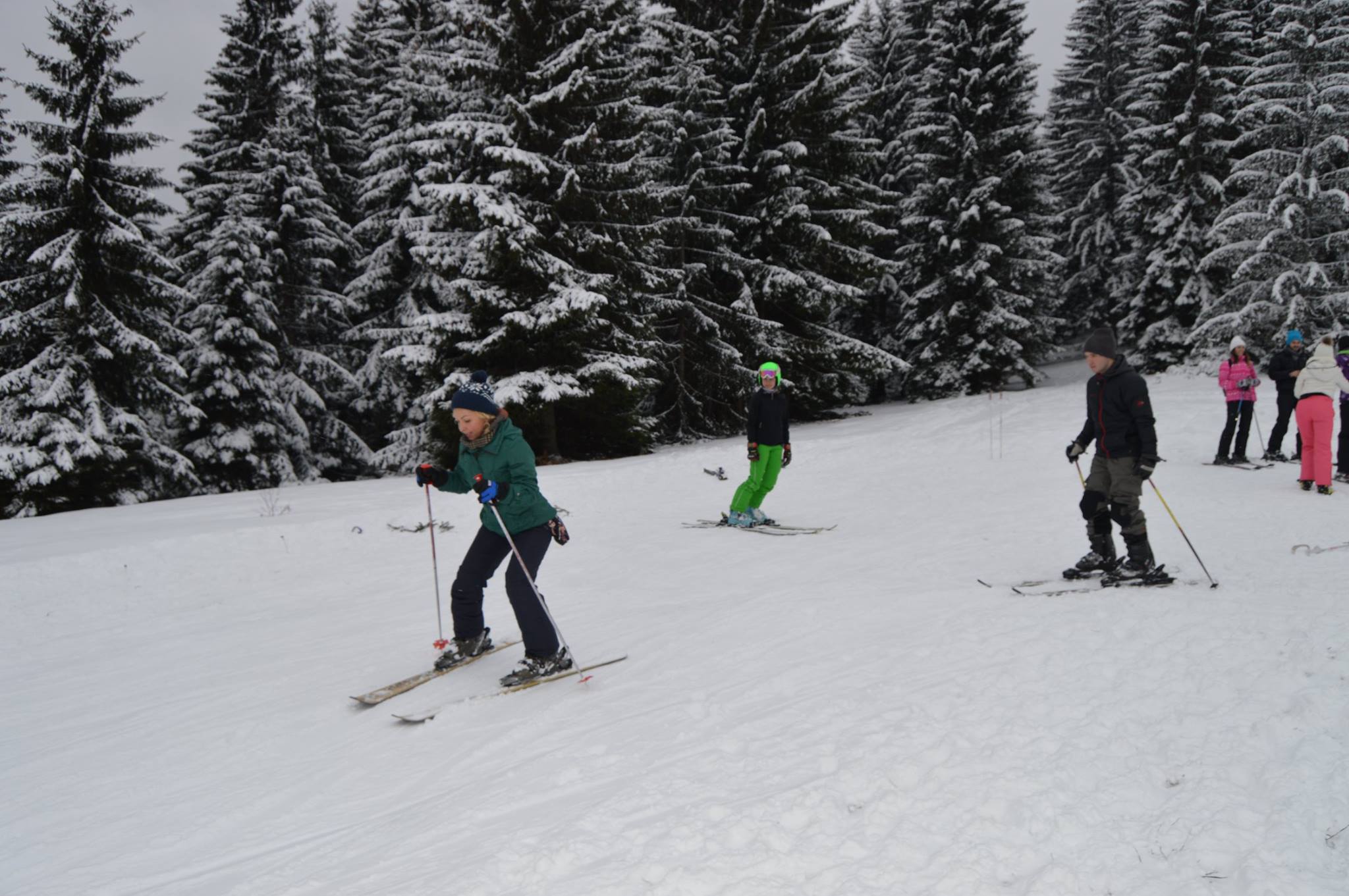 Zlatar skola skijanja Srbija za mlade